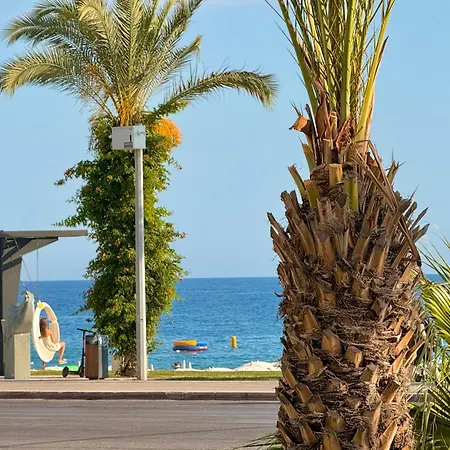 شقة Sa Apartments! Beachfront With Sea View & Pool ألانيا