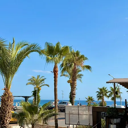 Sa Apartments! Beachfront With Sea View & Pool 阿拉尼亚